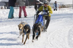 Lenk 2012 SM